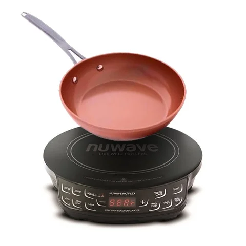 Portable Electric Induction Cooktop