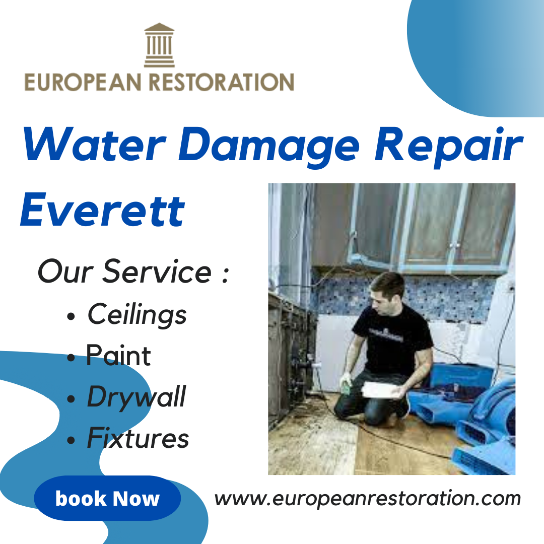 Water Damage Repair Everett