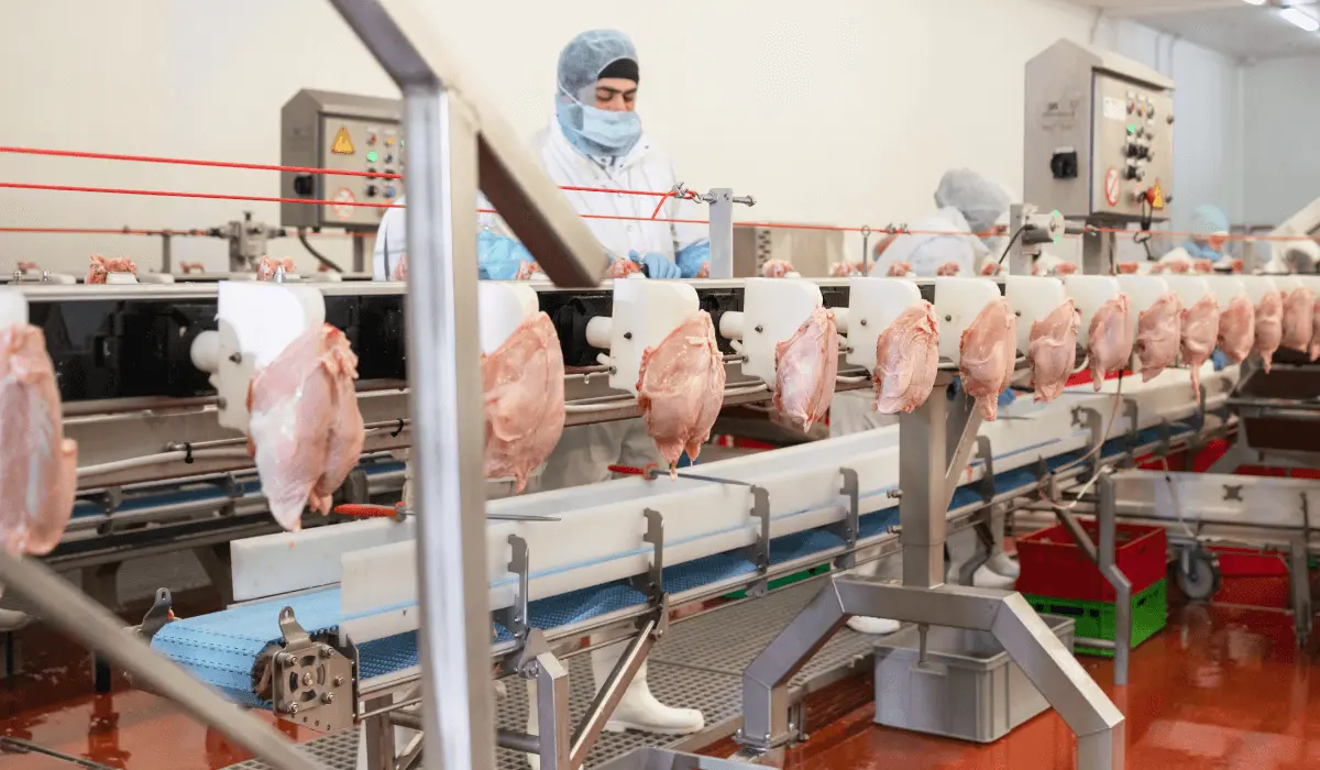 Improving Occupational Health in Malaysian Meat Processing Plants: The Significance of HSE Consultants