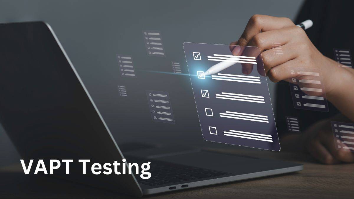 VAPT testing services