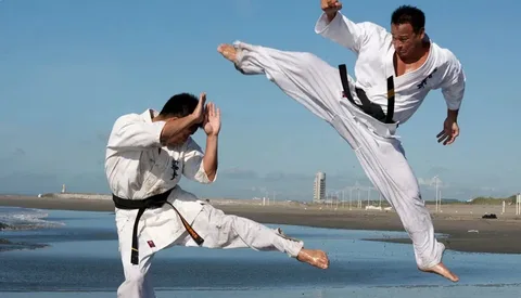Unleash Your Inner Power: A Guide to Karate Classes in Dubai and the UAE