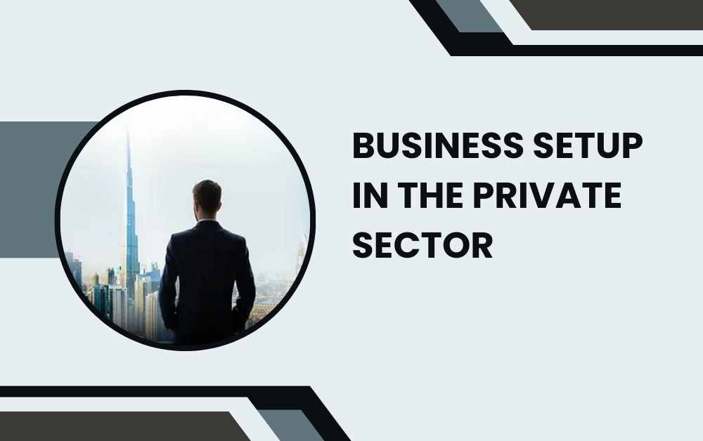 Business Setup in the Private Sector
